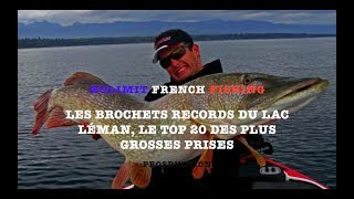 Les brochets records du lac Léman le top 20 des plus grosses prises  attention poutre [upl. by Eiramyelhsa]