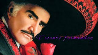 Vicente fernandez mix [upl. by Ytsim]