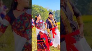 Majoni  Moi Tur Majoni  Deepshikha Bora New Song  assamese song reelsvideo shortsfeed dance [upl. by Isyad83]