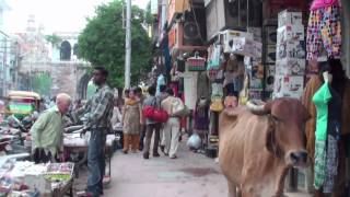 The market of Vadodara Gujarat  India [upl. by Airan497]