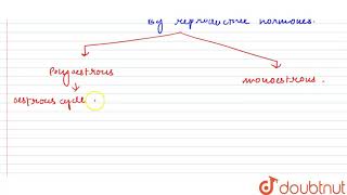 What is oestrous cycle [upl. by Ecenaj]