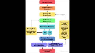 Understanding and Applying Research Paradigms in Educational Context [upl. by Gwenette]