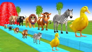 Paint amp Animals Cow ElephantsLionZebraBuffalo Fountain Crossing Transformation Cartoon [upl. by Singh]