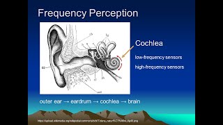 Prosody Tutorial Lecture 9 Perception [upl. by Clellan]