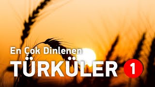 En Çok Dinlenen Türküler  Editörün Özel Seçimi  Bölüm 1 elapro  Türkü Listesi [upl. by Anaej430]