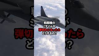 戦闘機のミサイルが弾切れになったらどうするの？ 戦闘機 雑学 [upl. by Hjerpe286]