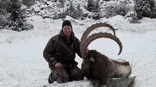 Breeding Time of Himalayan Ibex  Is In the Month Of December  Short Documentary ibex hunza [upl. by Halilahk]