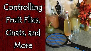 Controlling Fruit Flies Gnats and More [upl. by Zolner791]