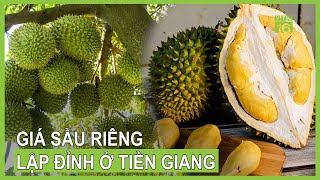 Giá sầu riêng tăng cao lịch sử ở Tiền Giang  VTC16 [upl. by Acirrehs788]