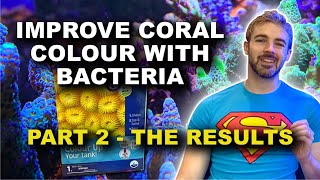 THE RESULTS Bacteria for Coral Color and Growth  Part 2 [upl. by Dagny]