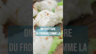 Comment on fait du fromage [upl. by Laertnom]