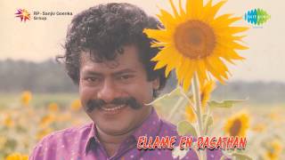 Ellame En Rasathan  Veenaikku Veenai song [upl. by Icam120]