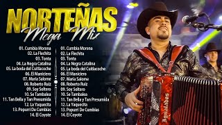 Cumbias Norteñas Mix 2024⚡De Paranda  Secretto  Los Igualados ⚡Norteñas Para Bailar [upl. by Oram]