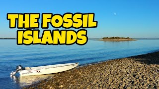 Exploring TINY Florida Islands for Fossils  Fossil Hunting in the Gulf of Mexico [upl. by Margie]