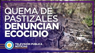 Organizaciones ambientales denuncian un ecocidio en la Argentina [upl. by Nillek942]