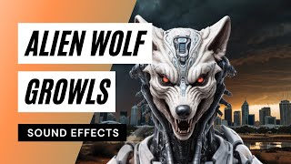 Alien Wolf Growls  alien wolf growl sound effect [upl. by Ashien]