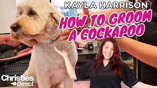 Kayla Harrison How to Groom a Cockapoo [upl. by Mayes]