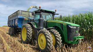 Chopping Corn Silage near Hollansburg Ohio [upl. by Agosto]