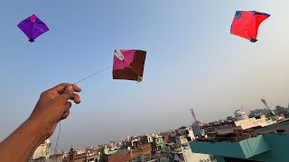 Kite looting from terrace  kite catching  kite video [upl. by Hamon]