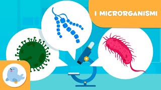 Cosa sono i microrganismi  Batteri virus e funghi per bambini [upl. by Pepi581]