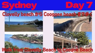 〈Sydney Day7〉Clovelly beach から Cooggee beachまで歩く [upl. by Odell]