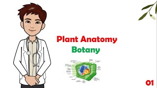 Botany  01 Plant anatomy  cell wall  plasmodesmata   شرح مادة البوتاني للكليات الطبية [upl. by Brod]