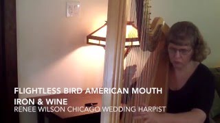 Flightless Bird American Mouth Wedding Version  Iron amp Wine Harp Cover [upl. by Felipe]