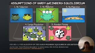 Applying Mathematics in Biology꞉ The Importance of the HardyWeinberg Principle Take 6 [upl. by Whale101]