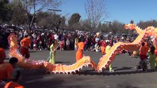 Yun Yee Tong Lion Dance Part 25 [upl. by Imiaj]