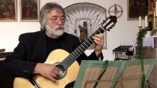 Vivaldi Concerto D Major for two guitars  Milorad Romic [upl. by Nnyltak523]