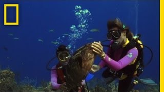 How to Care for the Ocean  National Geographic [upl. by Qerat]