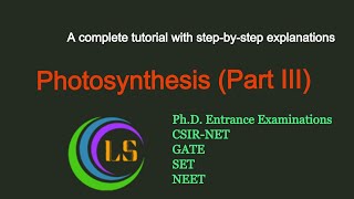 Photosynthesis Part III  CSIR UGC NET  GATE  SET Life science [upl. by Eirak]