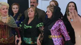 Best Kurdish weddings  Kurdish dance [upl. by Guntar]