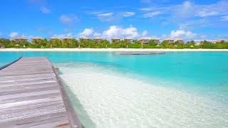 🏝 Scenic Beach View Island Relaxation From Maldives [upl. by Richmond]