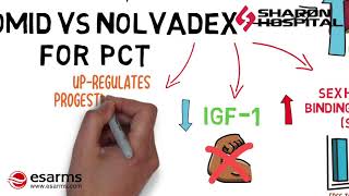 Clomid VS Nolvadex Which one should you use for PCT [upl. by Nitsugua]