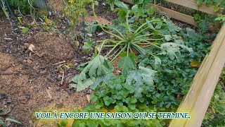 Début novembre au potager lautomne est Bel et bien là 🍂 [upl. by Morven]