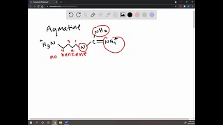 From which amino acid is the compound agmatine derived [upl. by Mckee822]