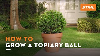 How to cut a topiary ball  STIHL Tutorial [upl. by Daune]