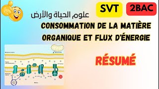 SVT  2 BAC SVT et PC  cours consommation de la matière organique et flux ملخص الوحدة الأولى [upl. by Oster205]