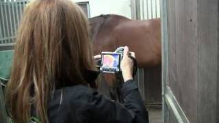 Infrared Thermography for Veterinary [upl. by Savior]