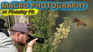 Macro Photography at Pleasley Pit  Nikon Z6 Sigma 105mm [upl. by Alracal]