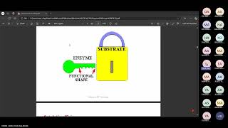 Biochemical basics of enzymes Dr Salah Elsayed [upl. by Mavis]