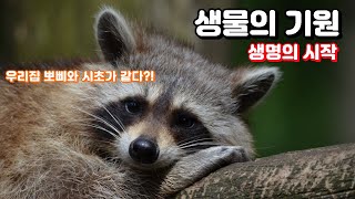 생물의 기원 생명의 시작  생물편 [upl. by Feirahs]