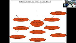 Lecture 1  Office Procedure amp Filing System [upl. by Nillok]