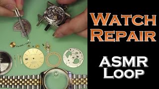 ASMR Loop Watch Repair  Unintentional ASMR  1 Hour [upl. by Ab208]