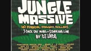 Wicked Wicked Jungle Is Massive 432 Hz [upl. by Bina]