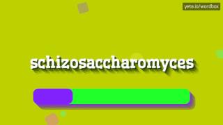 SCHIZOSACCHAROMYCES  HOW TO PRONOUNCE IT [upl. by Florine]