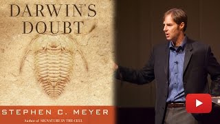 Dr Stephen C Meyer PhD talks about the Case for Intelligent Design [upl. by Renard437]