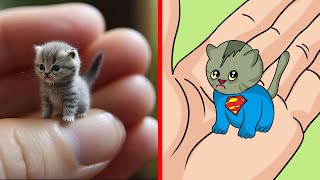 😂Cat Meme 30 MINUTES THE CAT AVENGERS 🐱 Trending Funny Animals 2024 😹 funny cartoon drawing meme [upl. by Greenberg378]