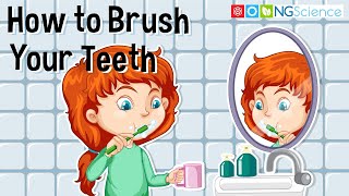 How to Brush Your Teeth [upl. by Inalan]